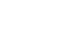 logo head