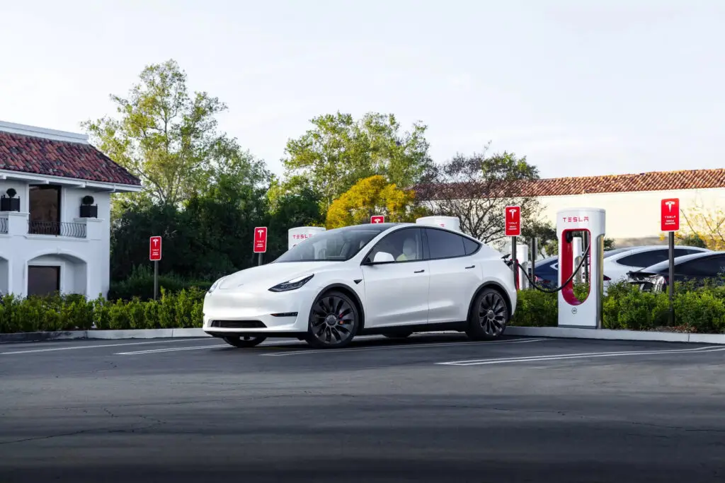 Індонезія закликає Tesla побудувати завод у себе — photo 3