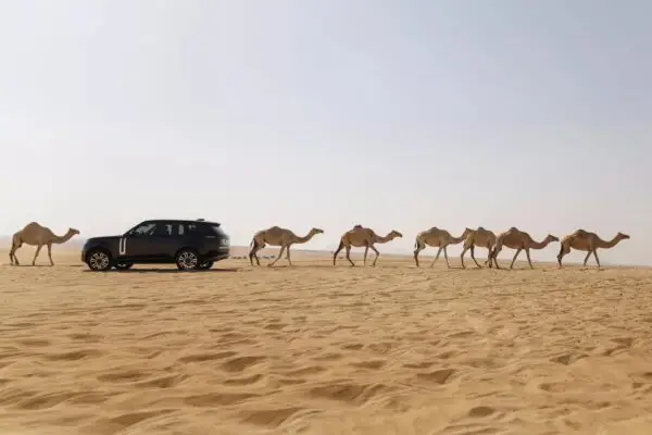 Електричний Range Rover пройшов випробування в екстремальних умовах — photo 23910