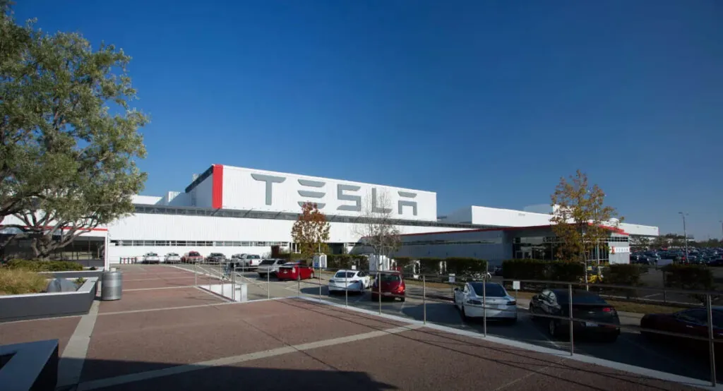 Tesla відкладає доступніший Model Y та готує спрощену версію Model 3 — photo 4