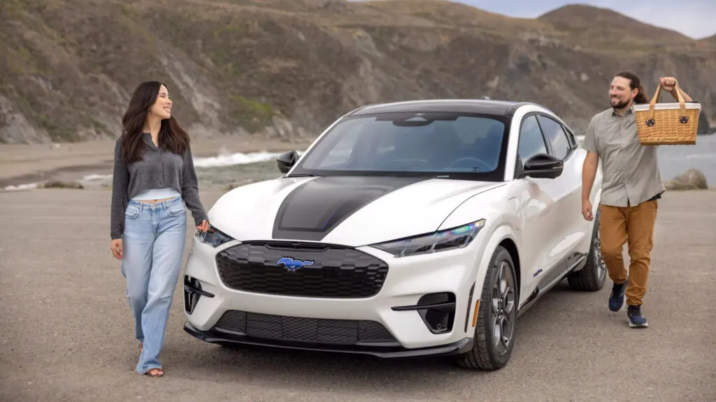 Мировой рынок электромобилей переживает непростой период — photo 2 Мировой рынок электромобилей переживает непростой период — photo 2