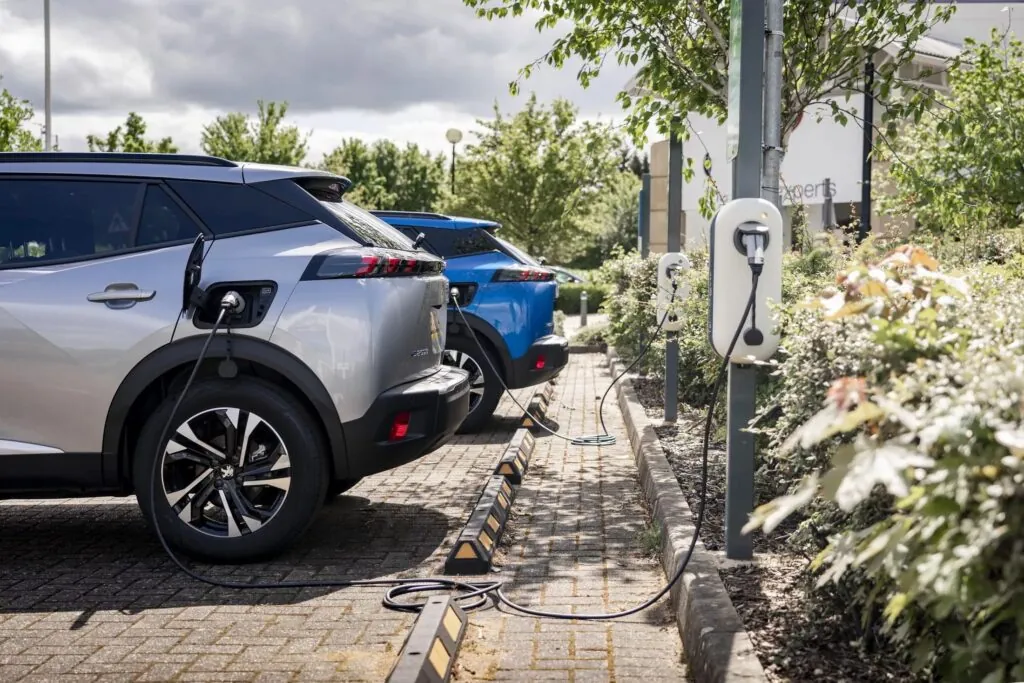 Peugeot випустить сім нових моделей до 2030 року — photo 3