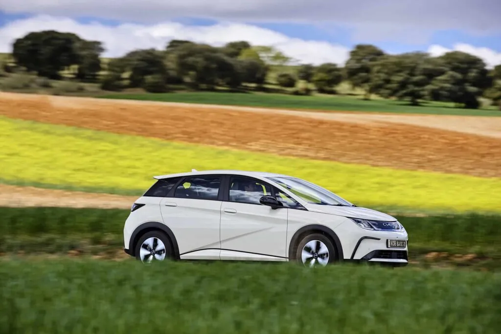 На украинском рынке только сегмент электромобилей показал рост в августе — photo 5